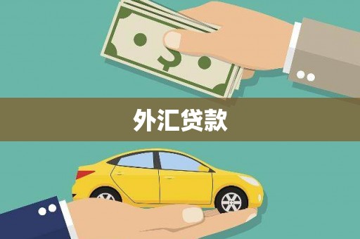 曲江外汇贷款
