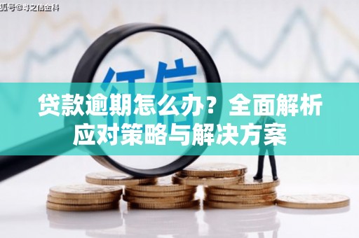 曲江贷款逾期怎么办？全面解析应对策略与解决方案