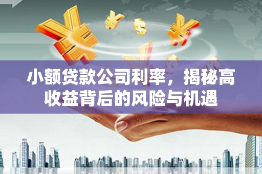 曲江小额贷款公司利率，揭秘高收益背后的风险与机遇