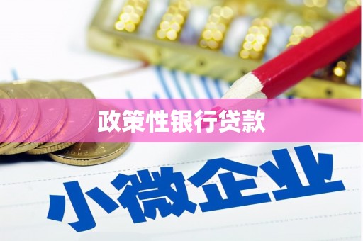 曲江政策性银行贷款