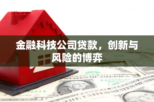曲江金融科技公司贷款，创新与风险的博弈