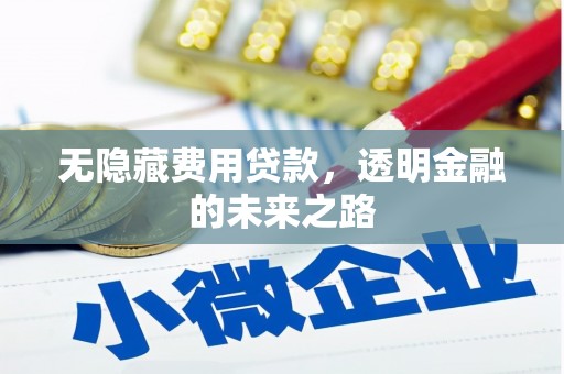 曲江无隐藏费用贷款，透明金融的未来之路