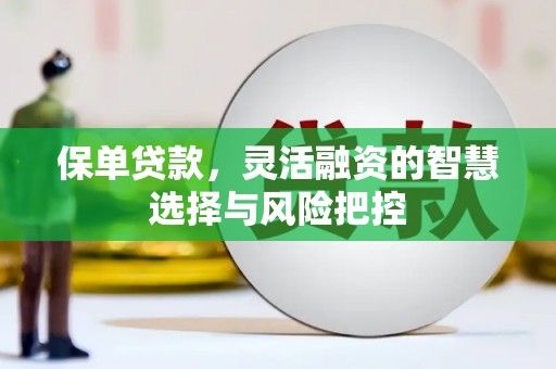 曲江保单贷款，灵活融资的智慧选择与风险把控