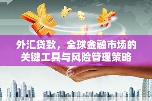 曲江外汇贷款，全球金融市场的关键工具与风险管理策略