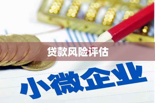 曲江贷款风险评估