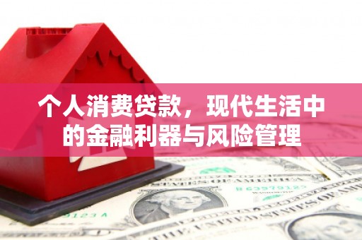 曲江个人消费贷款，现代生活中的金融利器与风险管理