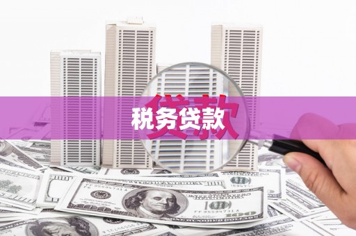 曲江税务贷款