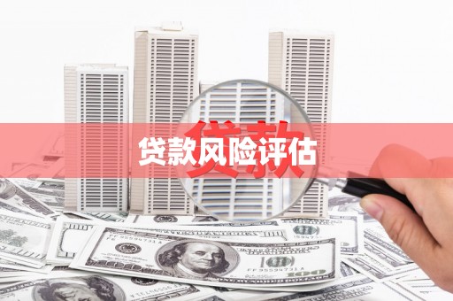曲江贷款风险评估