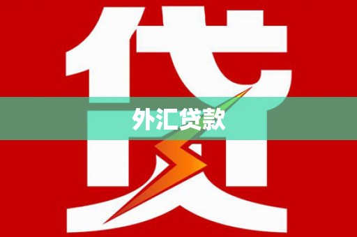 曲江外汇贷款