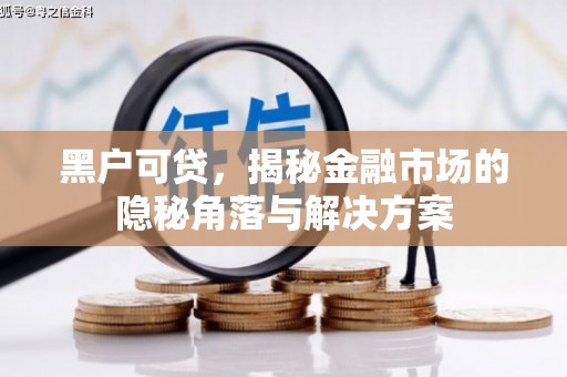 曲江黑户可贷，揭秘金融市场的隐秘角落与解决方案