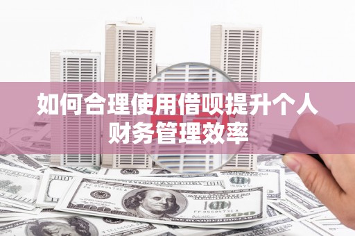 曲江如何合理使用借呗提升个人财务管理效率