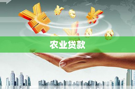曲江农业贷款