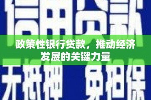 曲江政策性银行贷款，推动经济发展的关键力量