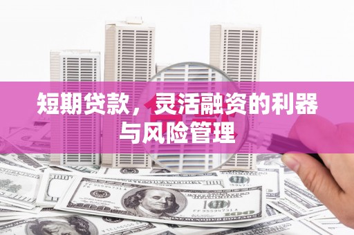 曲江短期贷款，灵活融资的利器与风险管理