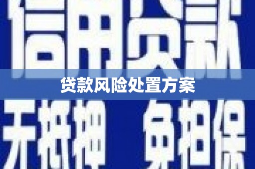 曲江贷款风险处置方案
