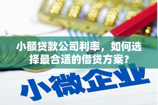 曲江小额贷款公司利率，如何选择最合适的借贷方案？