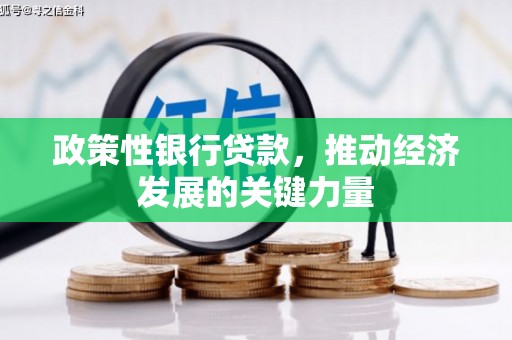 曲江政策性银行贷款，推动经济发展的关键力量