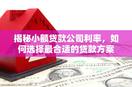 曲江揭秘小额贷款公司利率，如何选择最合适的贷款方案