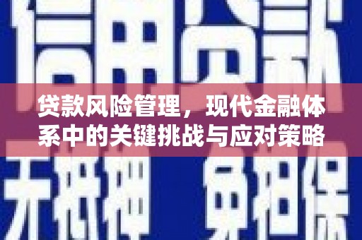 曲江贷款风险管理，现代金融体系中的关键挑战与应对策略