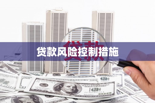 曲江贷款风险控制措施