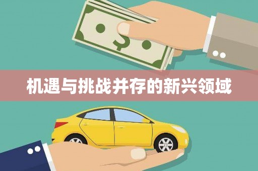 曲江机遇与挑战并存的新兴领域