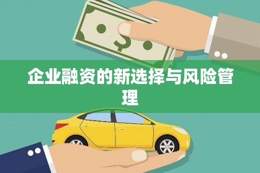 曲江企业融资的新选择与风险管理